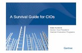 A Survival Guide For CIOs