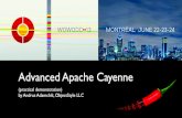 Advanced Apache Cayenne