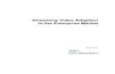 Enterprise Streaming Video