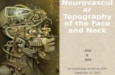 Neurovascular topography of the face and neck