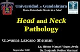 Head and neck pathology