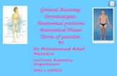 11.20 (dr. nand lal) terminologies anatomical positions anatomical planes terms of positions