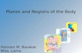Planes and regions of the body
