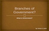 Branches of government