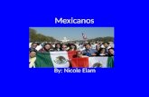 Mexican final project yaya