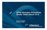 What Business Executives Really Think About E2.0
