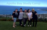 Apollo Bay Study Camp