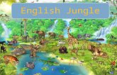 English Jungle