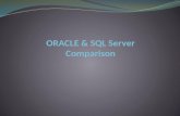 Oracle & sql server comparison 2