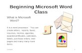 Beginner word class_1