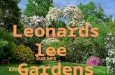 Leonardslee Gardens (England)