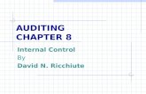 AUDITING CHAPTER 8 Internal Control