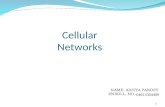 Cellular network presentation