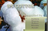 Bt cotton presentation12