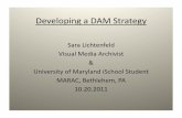 DAMs Strategy Presentation