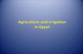 Agriculture And Irrigation In Egypt