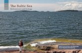 The Baltic Sea Environment and Ecology
