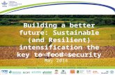 Building a better future: Sustainable (and Resilient) intensification the key to food security