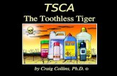 TSCA: A Toothless Tiger