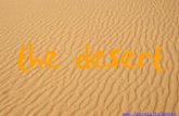 Desert Tyler