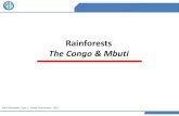 2011   year 8 geography - rainforests - congo & mbuti