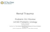 Pedi gu review renal trauma