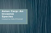 Asian Carp: An Invasive Species