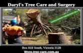 Daryl's Tree Care and Surgery