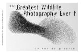 The Greatest Wildlife Photography Ever 1
