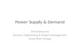 Maximize Minnesota Power Supply And Demand Presentation February 2010