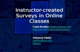 Instructor-created Surveys in Online Classes
