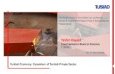 PSMEC - Private Sector - S3 Tayfun Bayazit