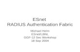 E Snet Authentication Fabric Pilot