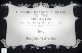 A young person’s guide to the orchestra