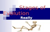 Stages of evolution