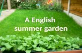 A english garden in summer.