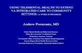 Using Telemental Health to Extend VA Integrated Care to ...