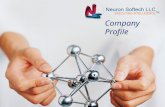 Neuron Softech LLC - Company Profile