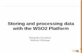 Storing and processing data with the wso2 platform