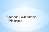 Ansel Adams Pictures