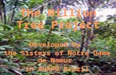 The Million Tree Project