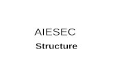 AIESEC Riga IS: 3. AIESEC Structure