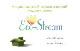 Eco Stream Project