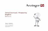 Intellectual property rights - basics