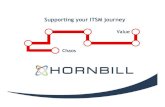 Hornbill Overview - Bite Size Offer