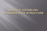 Module  establish business data structure
