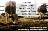 Optimizing Facilities for Transition Cow Success- Ken Nordlund