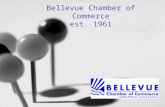 Bellevue Chamber Of Commerce Overview 2009