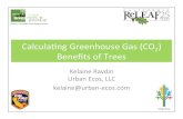 Webinar: Tools for Estimating Greenhouse Gas Benefits of Trees
