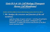 B9-10 Cell Membranes